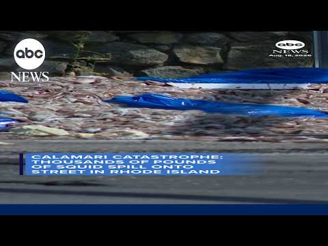 More than 20 tons of squid spills onto Rhode Island street