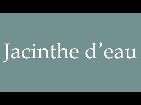 How to Pronounce ''Jacinthe d’eau'' (Water Hyacinth) Correctly in French