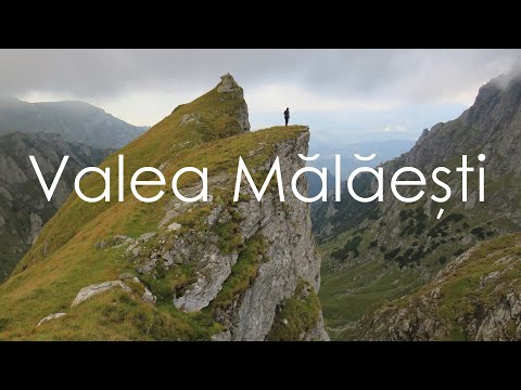 Pe tărâmul caprelor negre din MUNȚII BUCEGI | Drumeție cu cortul în Valea Mălăești