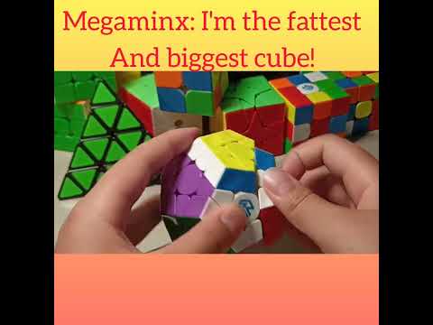 megaminx VS the REAL Rubiks Cube BOSS🤨✨😱