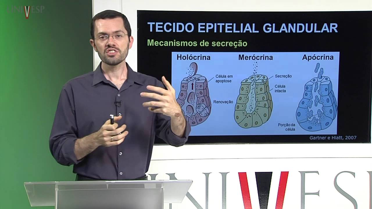 Células e Tecidos - aula 19 - Biologia do tecido epitelial glandular