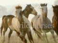 WILD HORSES SUSAN BOYLE ROLLING STONES ...
