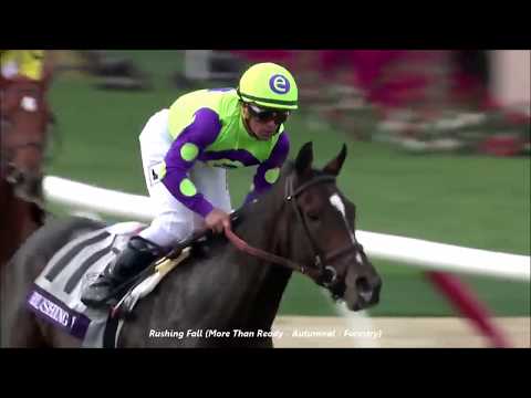 Breeders Cup Juvenile Fillies Turf 2017 -  Rushing Fall