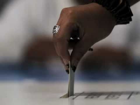 Monsieur Roux - Le vote utile (audio officiel)