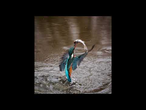 „Rastlose Liebe“ (Johann Wolfgang von Goethe, 1776)