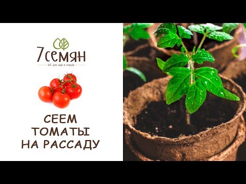 биография ларисы зарубиной садовый гид. Смотреть фото биография ларисы зарубиной садовый гид. Смотреть картинку биография ларисы зарубиной садовый гид. Картинка про биография ларисы зарубиной садовый гид. Фото биография ларисы зарубиной садовый гид биография ларисы зарубиной садовый гид. Смотреть фото биография ларисы зарубиной садовый гид. Смотреть картинку биография ларисы зарубиной садовый гид. Картинка про биография ларисы зарубиной садовый гид. Фото биография ларисы зарубиной садовый гид