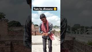 Download lagu Suno Miya Suno Miya Tum Ho Diwane #shorts #bollywood #govinda #dance #bollywoodsongs #video mp3 Download lagu Suno Miya Suno Miya Tum Ho Diwane #shorts #bollywood #govinda #dance #bollywoodsongs #video mp3