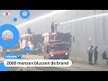 Vier dorpen ontruimd vanwege grote bosbrand