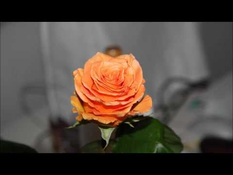 Video thumbnail for Afilu Daka - אפילו דקה
