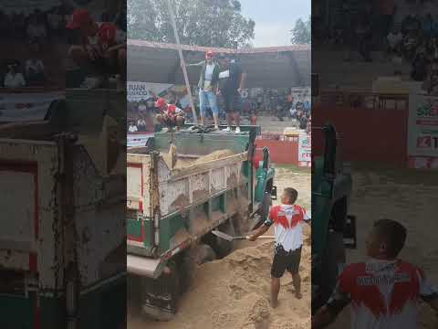 Bueno días migete es la competencia de paleros en Saravena Arauca paleros de Ricaurte Cundinamarca 