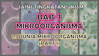 Download lagu SAINS TINGKATAN 5 KSSM I BAB 1 I 1.1 DUNIA MIKROORGANISMA (PART 1) mp3