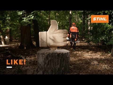 Digital Strategy for STIHL
