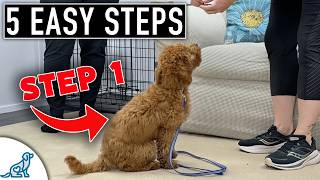 How To Teach Your Puppy Their Name FAST & Mental Focus