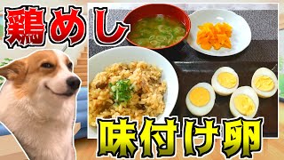 家にある物で「こういうのでいいんですよご飯」作ってみた【猫ミーム】