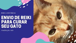 GET REIKI to Heal Your Sick Cat [Reiki from a distance]