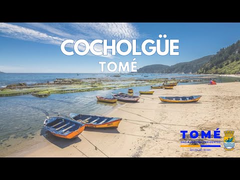 Cocholgüe - Tomé