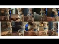 Every Pillsbury Doughboy With Plush Then Hoohoo Commercials