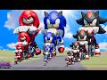 Big Small Sonic On A Motorcycle Vs Shadow On A Motorcycle Vs Knuckles On A Motorcycle Vs Trains