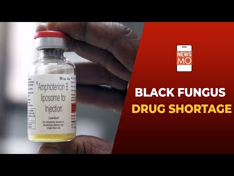 Ambilon 50 Mg Amphotericin B Injection
