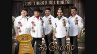 los tigres del norte- Mi Curiosidad (con letra)
