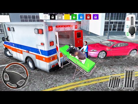 Ambulance Animals in Crazy Emergency New (2020)