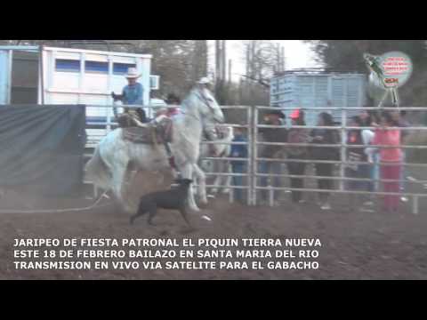 accidente charro de a caballo jaripeo piquin tierra nueva videos rcm