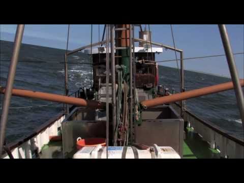 Ostfriesland: Krabbenfischer (HD)