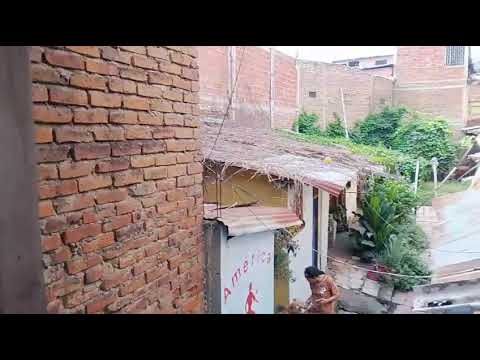 Lotes, Venta, Alfonso López - $890.000.000