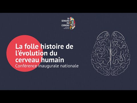 Regarder la vidéo sur YouTube.com