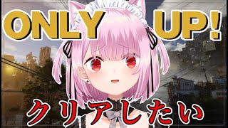 [閒聊] 三毛貓 only up 20230728