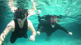 UTOPIA   AKA Three Sisters Spring, Crystal River, Florida