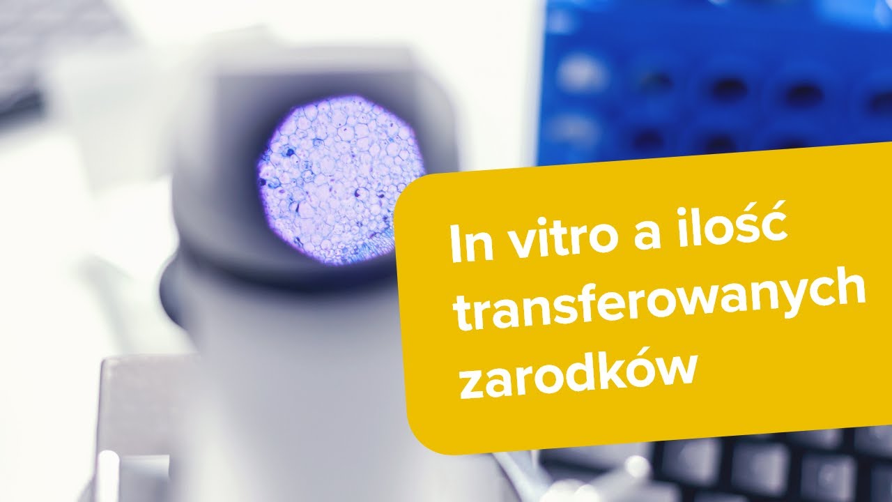 Maria Niedźwiecka-12