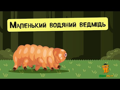 🍀 Дива природи. Явища навколо нас. Тихоходи 🌏