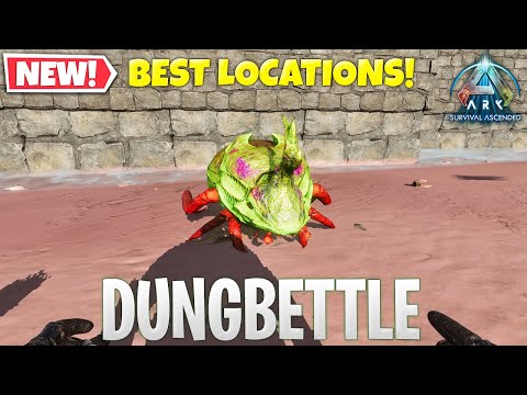 How To Tame A Dung Beetle | Ark Survival Ascended