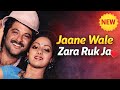 Jaane Wale Zara Ruk Ja Anil Kapoor Sridevi Song