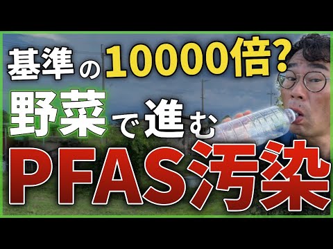 畑の近くの小さな水域は農薬でひどく汚染されている