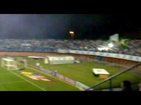 Avaí 4 x 0 Vitória - Torcida - Vamo vamo Avaí!