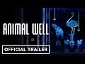 Βίντεο παιχνιδιού για Animal Well  XBox