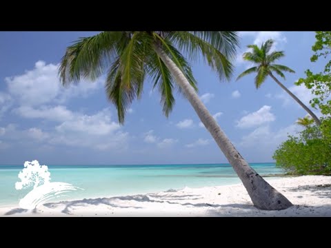 Green Hill Music - Caribbean Escape [Summer Visualizer]