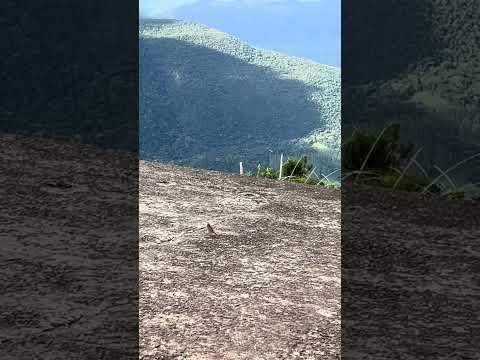 Serra da Rocinha