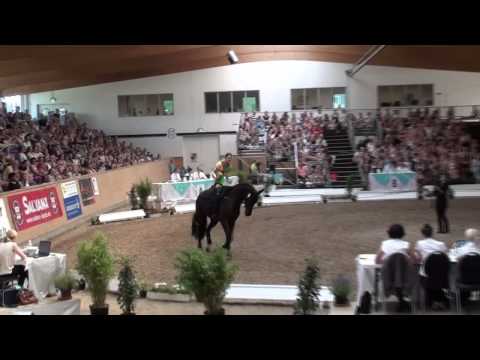 DVM Elmshorn 2014 - Pauline Riedl - Technik