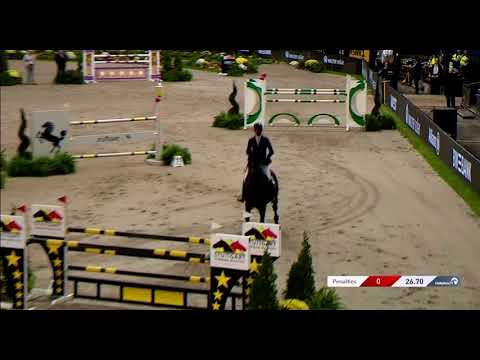 Loui LN (Kannan x Cartani x Athletico) www.LNhorses.com