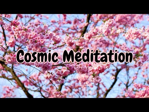 Japanese Cherry Blossom Meditation | Relaxing Music