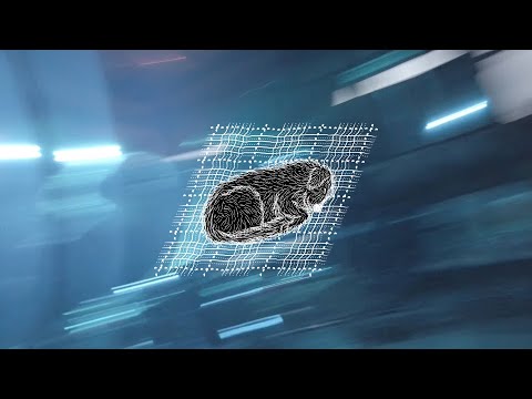 dreymandi hundur ( + Magnús T. Eliassen & Tumi Árnason) - full release concert @post-húsið