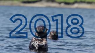 S.S. Legacy in Alaska