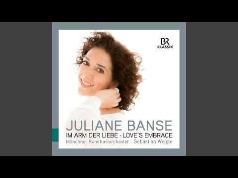 6 Einfache Lieder, Op. 9 (Version for Voice & Orchestra) : No. 3, Das Ständchen