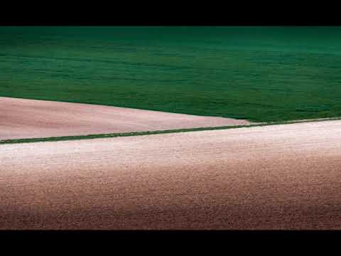 Krzysztof Szczurek | Participating Artist | Accessible Art Fair 2019