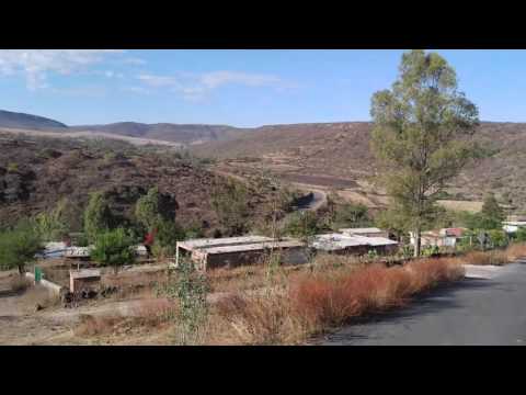 Las mismas piedras. Los acuario de mexico