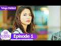 Day Dreamer Early Bird In Telugu Dubbed Episode 1 Erkenci Kus Turkish Dramas