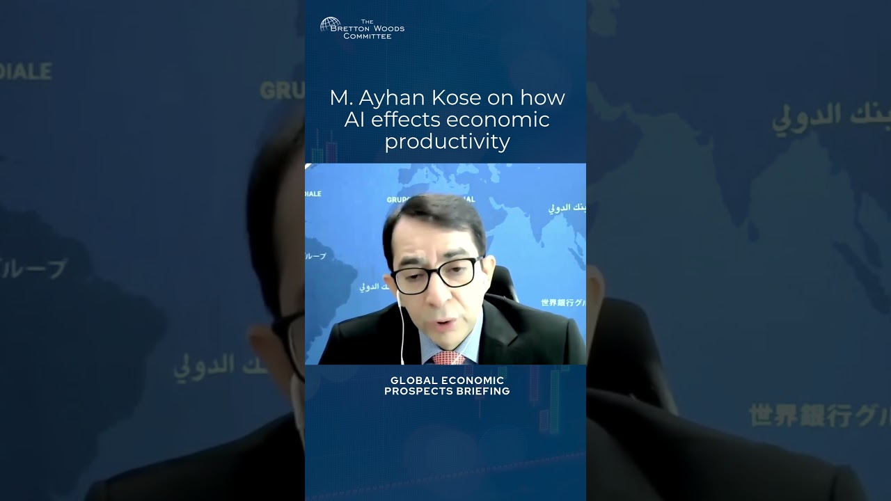 Productivity Potential of AI with M. Ayhan Kose
